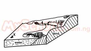 The feature marked X in the diagram is a